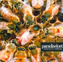 Paradise Lost I Believe In Nothing Формат: Audio CD (Jewel Case) Дистрибьютор: EMI Electrola Лицензионные товары Характеристики аудионосителей 2001 г Альбом инфо 4431z.